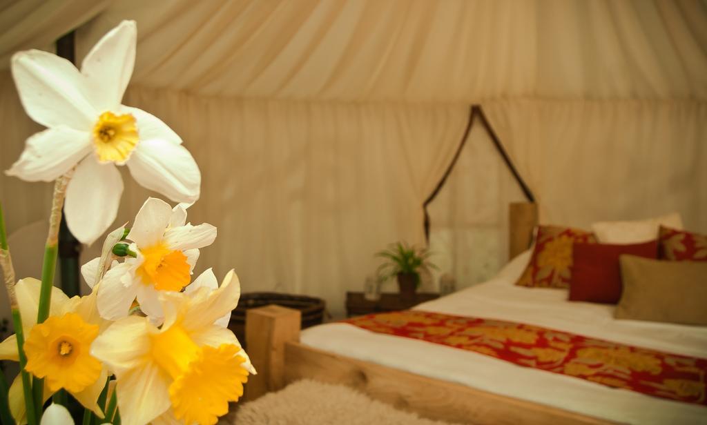 Plush Tents Yurt Village チチェスター 部屋 写真